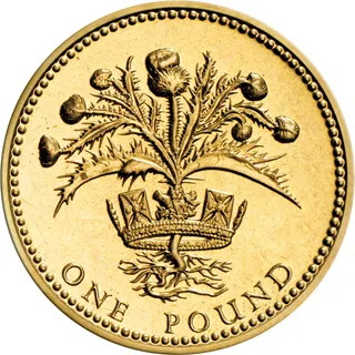 Thistle plant with several flower heads rising through the Royal Diadem, roots below, ONE POUND along the bottom