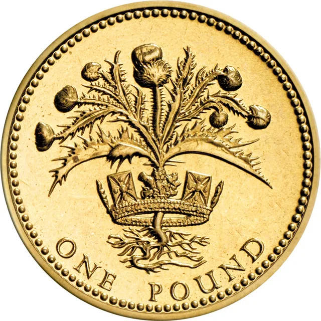 Thistle plant with several flower heads rising through the Royal Diadem, roots below, ONE POUND along the bottom