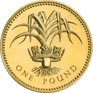 Leek with fanning leaves passing through the Royal Diadem, roots spreading below, ONE POUND beneath
