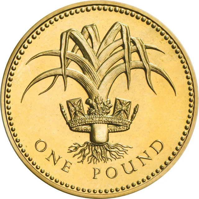 Leek with fanning leaves passing through the Royal Diadem, roots spreading below, ONE POUND beneath