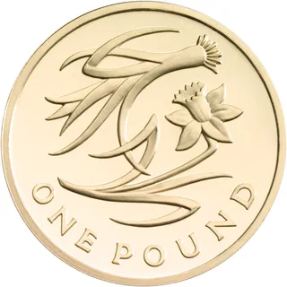 Leek and daffodil with intertwined curving leaves, ONE POUND in spaced letters along the bottom