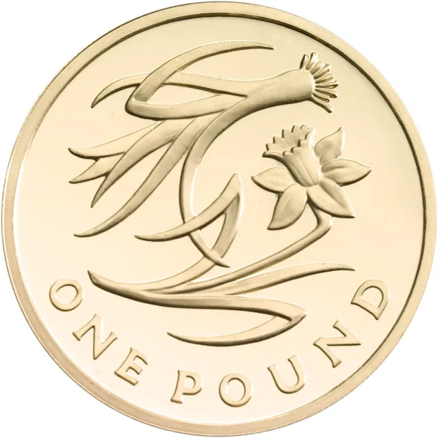 Leek and daffodil with intertwined curving leaves, ONE POUND in spaced letters along the bottom