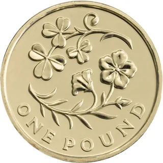 Shamrock sprigs and a flowering flax plant on curling stems, ONE POUND along the bottom