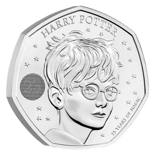 Portrait of Harry Potter at the centre with the lettering HARRY POTTER around him